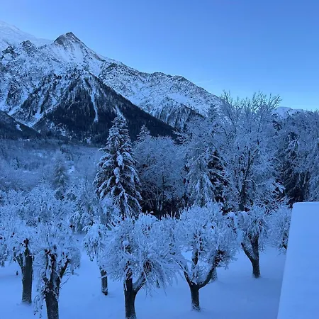 L'écrin Des Bossons