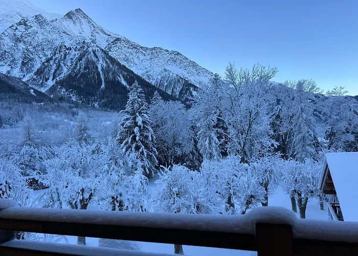 L'ecrin Des Bossons Apartment